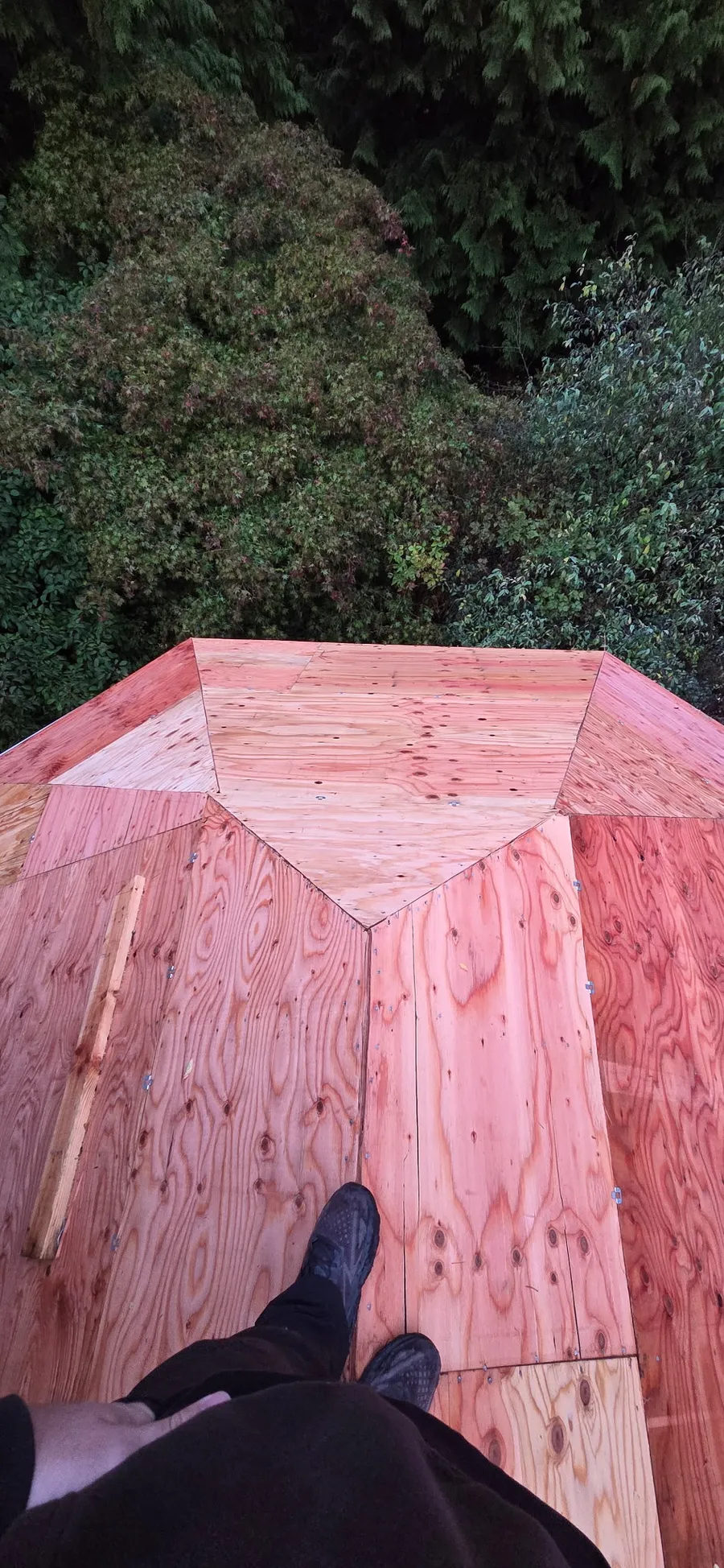 Plywood-sheathed multi-faceted roof peak viewed from above, with evergreens below
